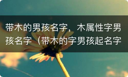 带木的男孩名字，木属性字男孩名字（带木的字男孩起名字）