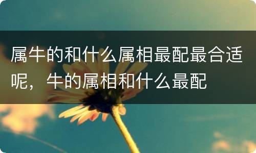 属牛的和什么属相最配最合适呢，牛的属相和什么最配
