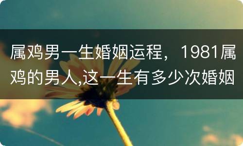 属鸡男一生婚姻运程，1981属鸡的男人,这一生有多少次婚姻?