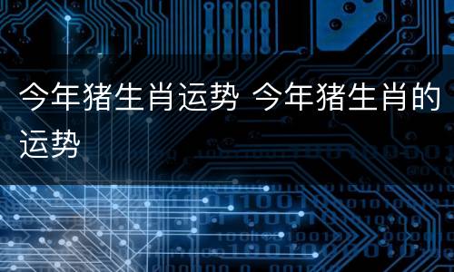 今年猪生肖运势 今年猪生肖的运势