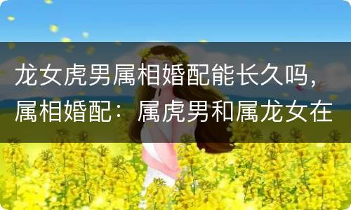 龙女虎男属相婚配能长久吗，属相婚配：属虎男和属龙女在一起会怎样
