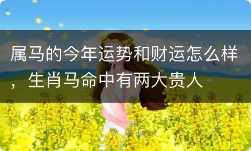 属马的今年运势和财运怎么样，生肖马命中有两大贵人