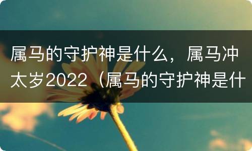 属马的守护神是什么，属马冲太岁2022（属马的守护神是什么,属马冲太岁2022年是什么）