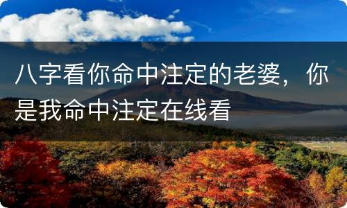 八字看你命中注定的老婆，你是我命中注定在线看