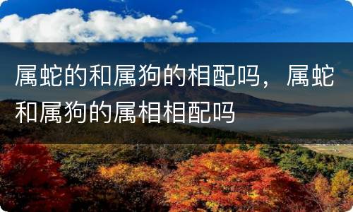 属蛇的和属狗的相配吗，属蛇和属狗的属相相配吗