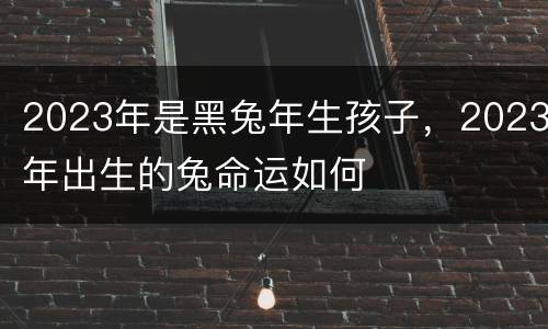 2023年是黑兔年生孩子，2023年出生的兔命运如何