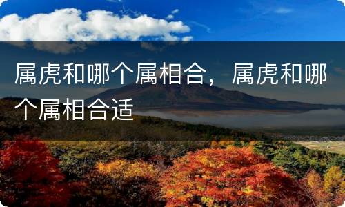 属虎和哪个属相合，属虎和哪个属相合适