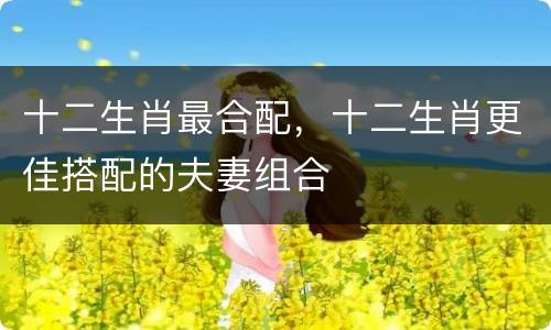 十二生肖最合配，十二生肖更佳搭配的夫妻组合