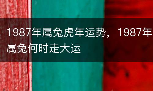 1987年属兔虎年运势，1987年属兔何时走大运