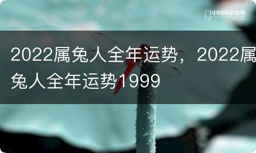 2022属兔人全年运势，2022属兔人全年运势1999