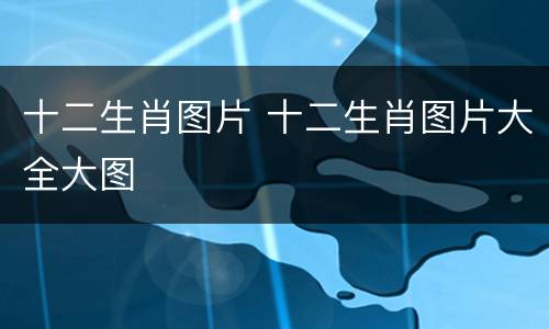 十二生肖图片 十二生肖图片大全大图