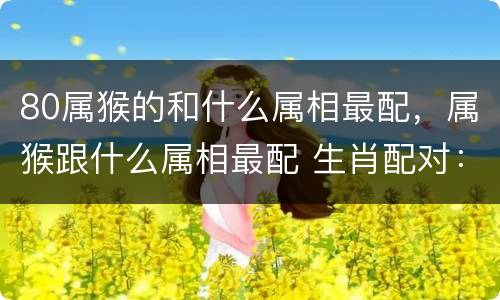 80属猴的和什么属相最配，属猴跟什么属相最配 生肖配对：属猴