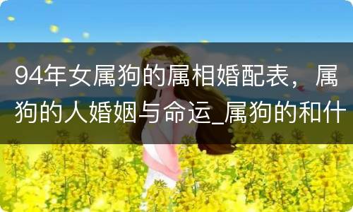94年女属狗的属相婚配表，属狗的人婚姻与命运_属狗的和什么属