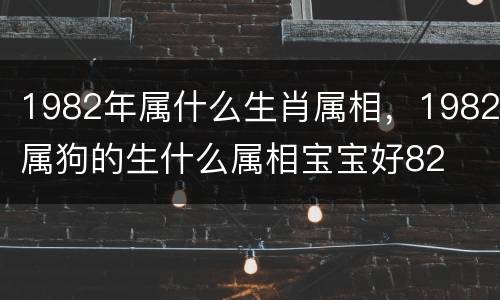 1982年属什么生肖属相，1982属狗的生什么属相宝宝好82