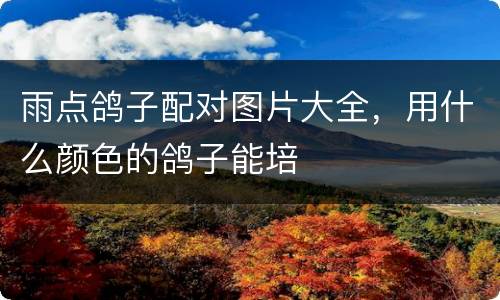 雨点鸽子配对图片大全，用什么颜色的鸽子能培