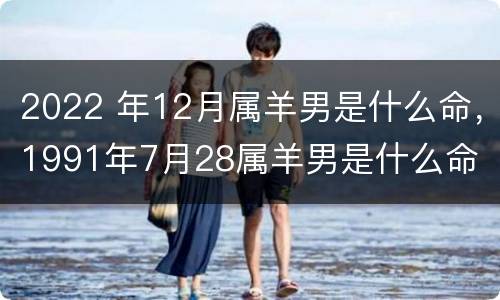 2022 年12月属羊男是什么命，1991年7月28属羊男是什么命