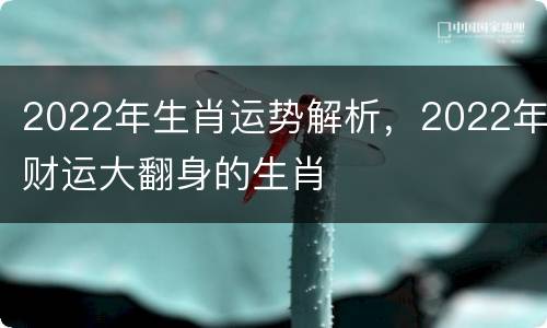 2022年生肖运势解析，2022年财运大翻身的生肖