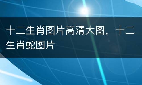 十二生肖图片高清大图，十二生肖蛇图片