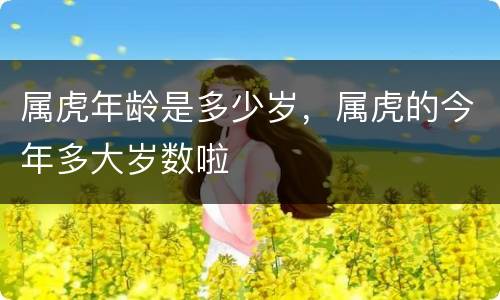 属虎年龄是多少岁，属虎的今年多大岁数啦