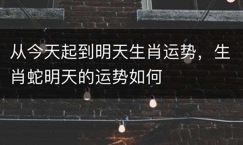 从今天起到明天生肖运势，生肖蛇明天的运势如何