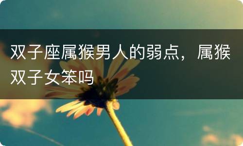 双子座属猴男人的弱点，属猴双子女笨吗