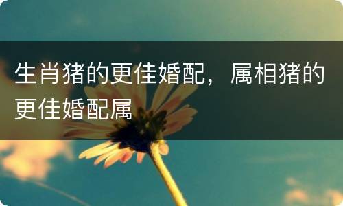 生肖猪的更佳婚配，属相猪的更佳婚配属