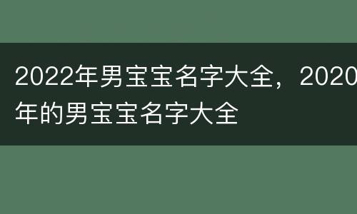 2022年男宝宝名字大全，2020年的男宝宝名字大全