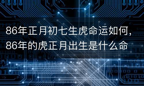 86年正月初七生虎命运如何，86年的虎正月出生是什么命