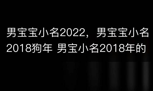 男宝宝小名2022，男宝宝小名2018狗年 男宝小名2018年的