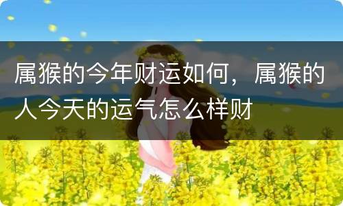 属猴的今年财运如何，属猴的人今天的运气怎么样财