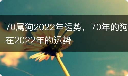 70属狗2022年运势，70年的狗在2022年的运势
