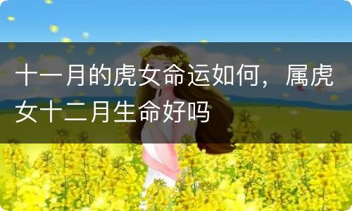 十一月的虎女命运如何，属虎女十二月生命好吗