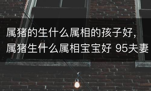 属猪的生什么属相的孩子好，属猪生什么属相宝宝好 95夫妻属猪