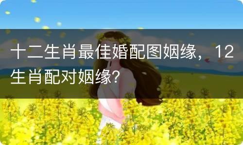 十二生肖最佳婚配图姻缘，12生肖配对姻缘？