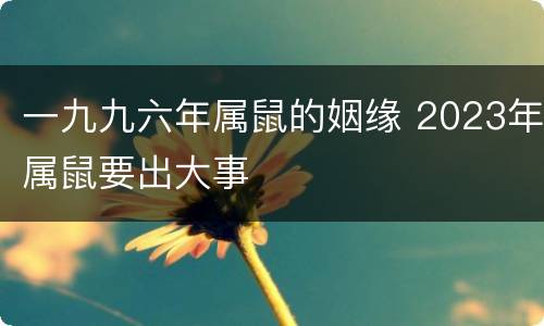 一九九六年属鼠的姻缘 2023年属鼠要出大事
