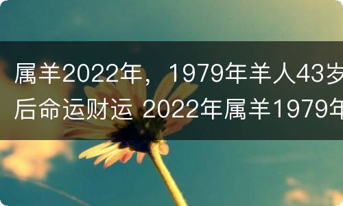 属羊2022年，1979年羊人43岁后命运财运 2022年属羊1979年属羊运势