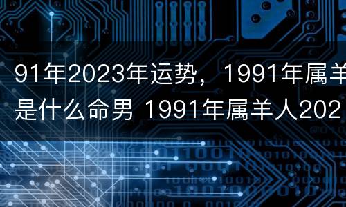 91年2023年运势，1991年属羊是什么命男 1991年属羊人2023年运势及运程男性