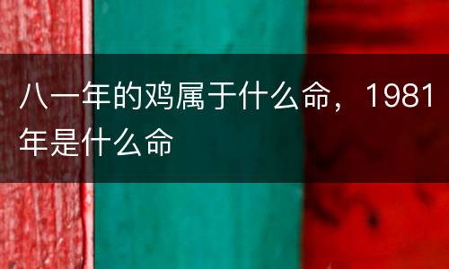 八一年的鸡属于什么命，1981年是什么命