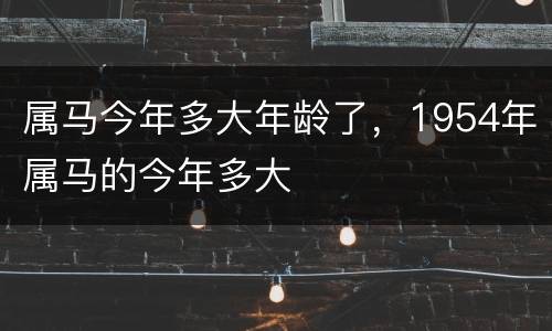 属马今年多大年龄了，1954年属马的今年多大