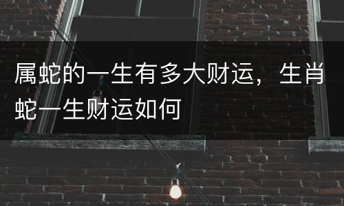 属蛇的一生有多大财运，生肖蛇一生财运如何