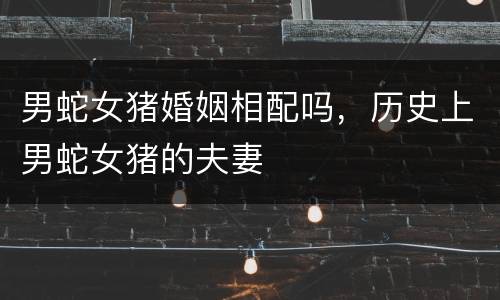 男蛇女猪婚姻相配吗，历史上男蛇女猪的夫妻