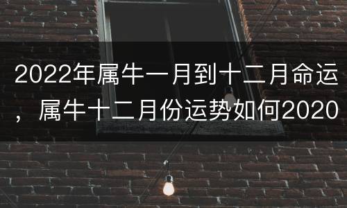 2022年属牛一月到十二月命运，属牛十二月份运势如何2020