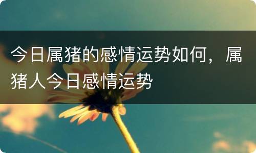 今日属猪的感情运势如何，属猪人今日感情运势