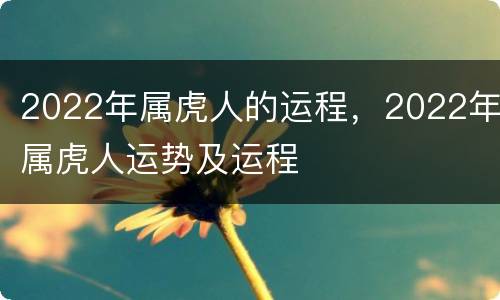 2022年属虎人的运程，2022年属虎人运势及运程