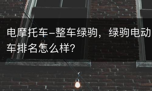 电摩托车-整车绿驹，绿驹电动车排名怎么样？