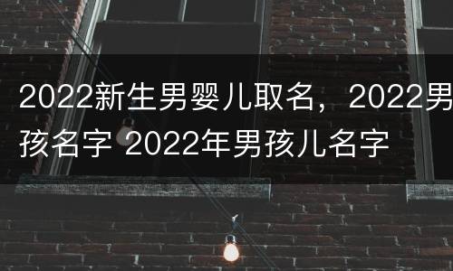 2022新生男婴儿取名，2022男孩名字 2022年男孩儿名字