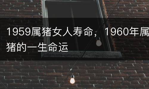 1959属猪女人寿命，1960年属猪的一生命运