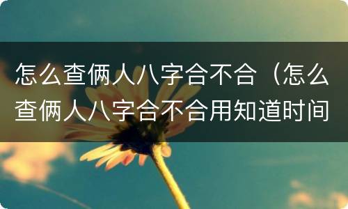 怎么查俩人八字合不合（怎么查俩人八字合不合用知道时间吗）