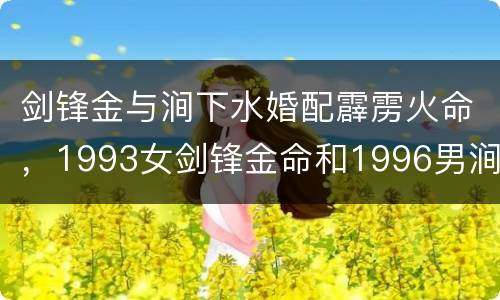 剑锋金与涧下水婚配霹雳火命，1993女剑锋金命和1996男涧下水命合婚
