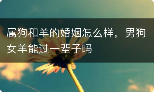 属狗和羊的婚姻怎么样，男狗女羊能过一辈子吗